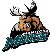 manitoba_moose