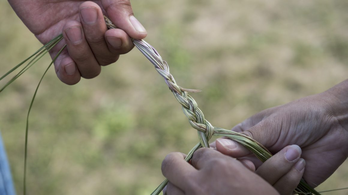 grass braid, Indigenous land-based learning