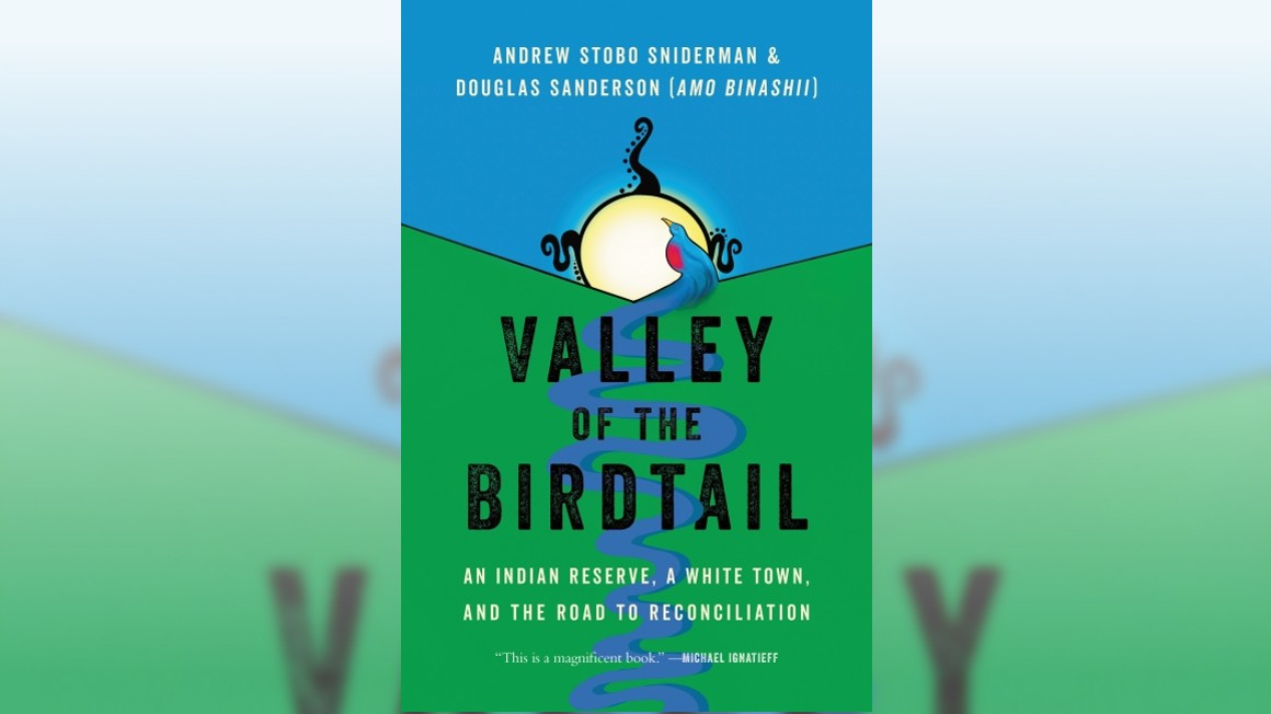 Valley of the Birdtail book cover.