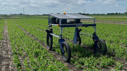 R-Tech rover in a crop field