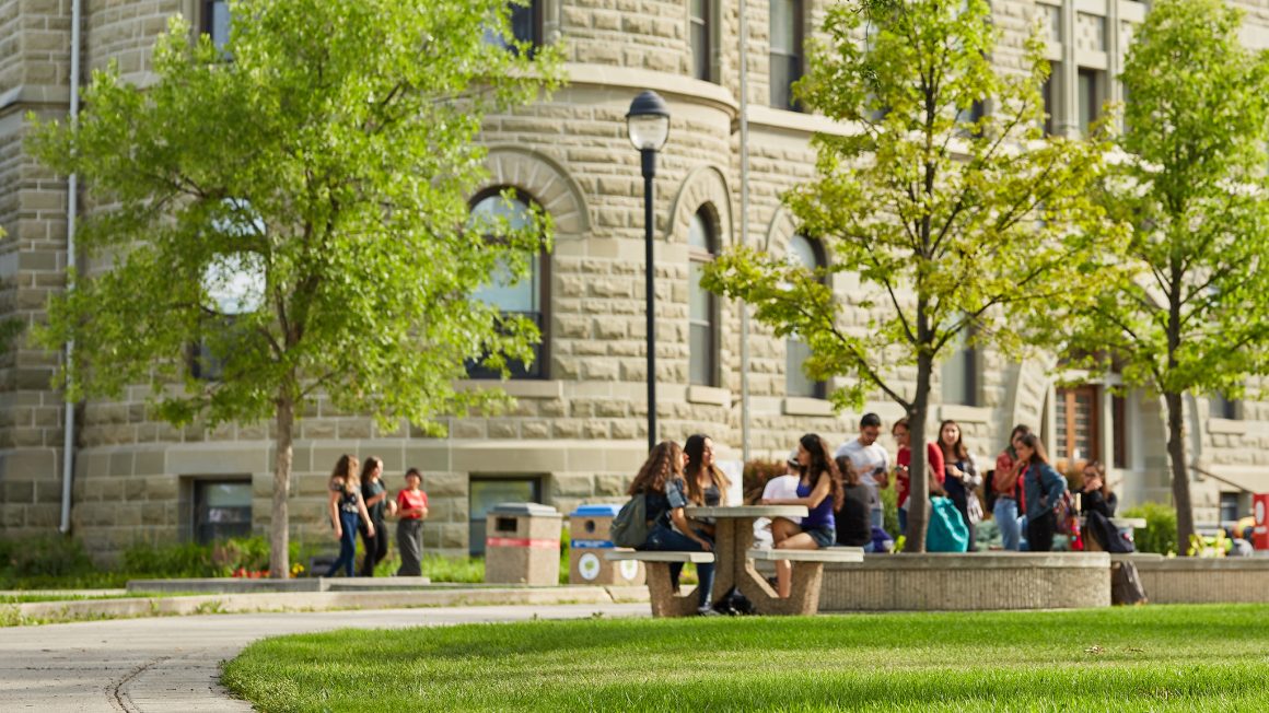 Students on campus outdoors in summer