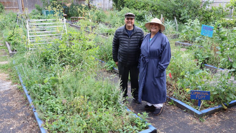 Two people stand in a community garden surrounded by vegetable plants.