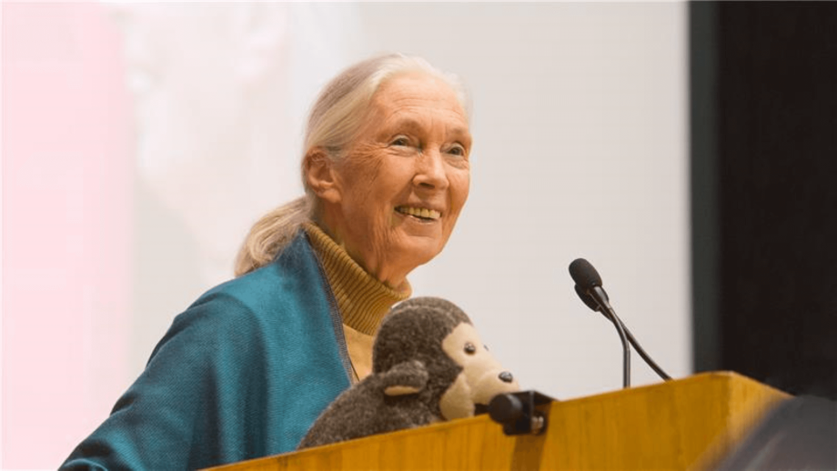 Jane Goodall speaks at a podium with a chimpanzee doll in the foreground.
