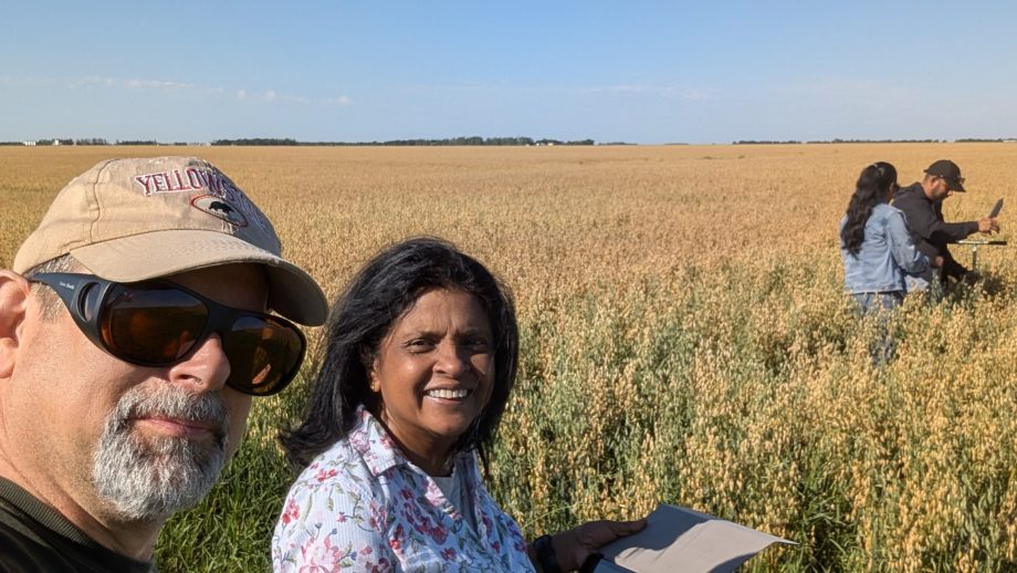 Two researchers stand in a sunny crop field during a research excursion.