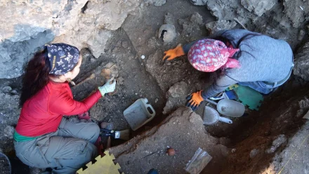 Overhead shot of people excavating.