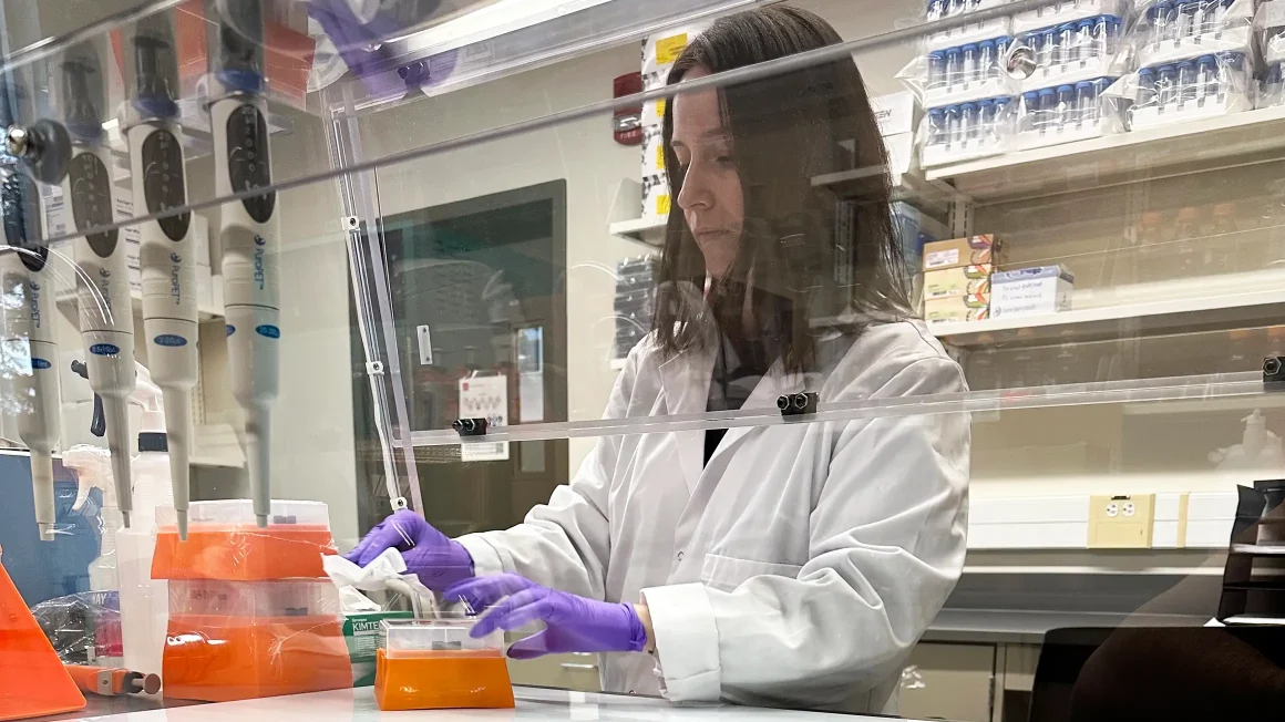 person working in a science lab