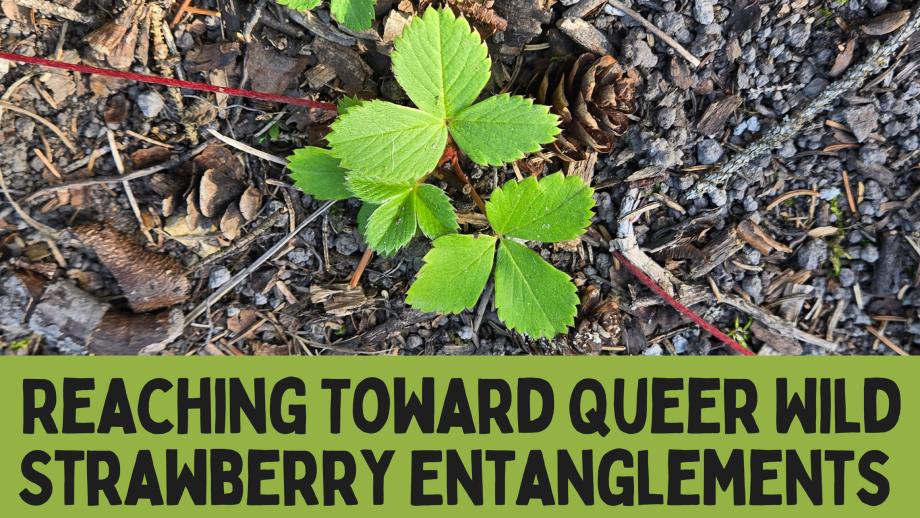 a strawberry plant with and the title of Wild Strawberry entanglements, the name of the exhibit.